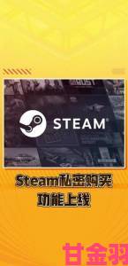 Steam 新功能正在开发：可私密游戏并向好友隐藏