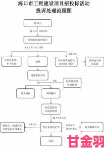 ssswww事件背后深度解析举报流程中的关键步骤与技巧