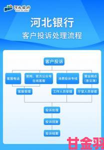 ssswww事件背后深度解析举报流程中的关键步骤与技巧