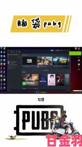 pubg正版下载入口严打开挂玩家举报教程与封禁案例解析