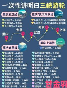 美国游轮1980经典航线解析从登船到下船的完整攻略