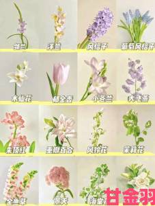 花店新手入门指南：花季价格与花框全解析