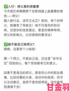 师父新手入门玩法全指南