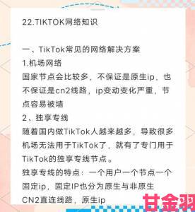 深度揭秘tiktok为啥不让中国人玩背后隐藏的真相与应对策略