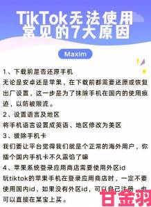 深度揭秘tiktok为啥不让中国人玩背后隐藏的真相与应对策略