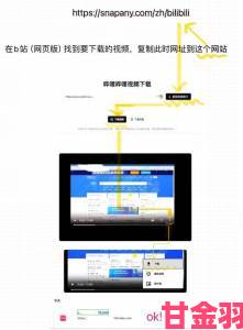 成全视频大全高清全集在线下载实用技巧：全网资源一键保存方案