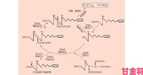 异象回声联组样本的合成方法分享