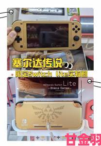 任天堂 3DS 推出两款塞尔达”主题个性面板