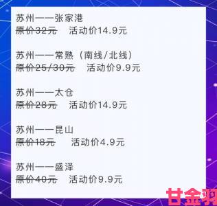 苏苏的公交车日记省钱攻略如何用最低成本实现高效公交出行