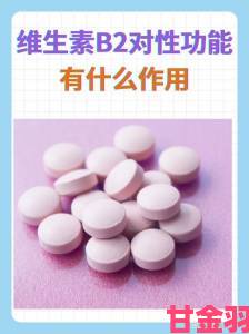 十大b型哪个最好最紧实战选购技巧这几点决定使用效果