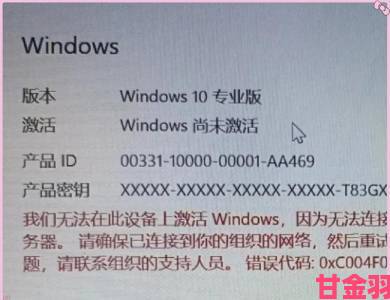 windows永久免费版究竟是否合法深度解析网友热议焦点