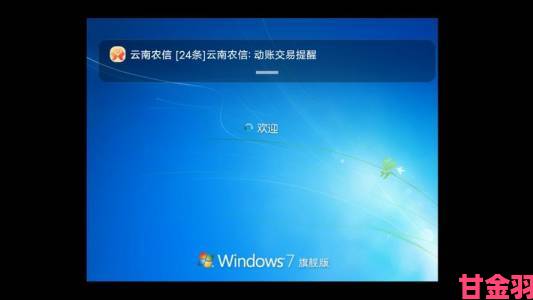 windows永久免费版究竟是否合法深度解析网友热议焦点