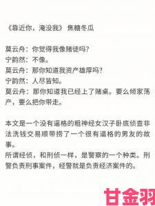 消防糙汉控诉宋轻轻违规操作引发社会监督浪潮