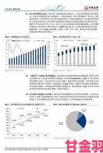 97超碰碰与竞品平台数据对比暴露行业发展新动向