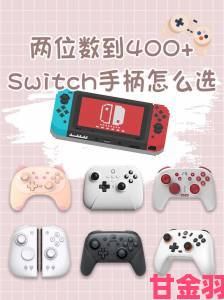 Switch官方配件一览：Pro手柄价格竟超PS4手柄