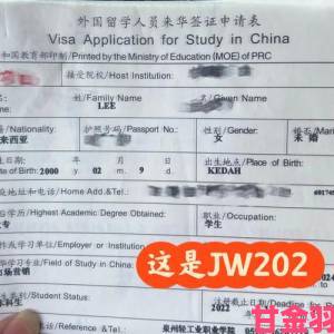 janpense visa home能帮你省下多少签证办理时间