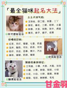 这届网友给猫咪www最新地域网名怎么取玩出多少神操作