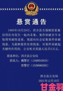 h触手小游戏涉嫌违法运营现向社会征集关键证据