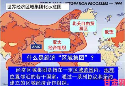 欧洲无线一线二线三线区分为何成行业焦点？专家解读政策导向