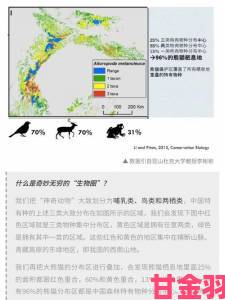 网友直击久久久一区二区三区真实生态圈背后竟藏着这些隐秘规律