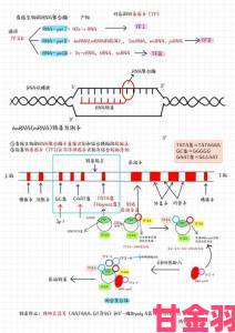 RNA与DNA杂交过程优化指南提升实验效率的三大实战技巧