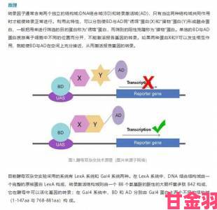 RNA与DNA杂交过程优化指南提升实验效率的三大实战技巧