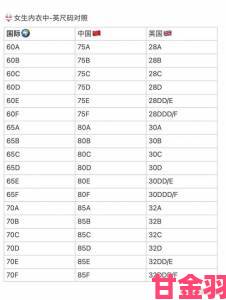 买欧洲尺码2XL必须知道的五大选码技巧是什么