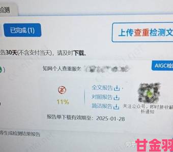 扶老二轻量版线路检测1网友实测结果曝光真实使用体验引发热议