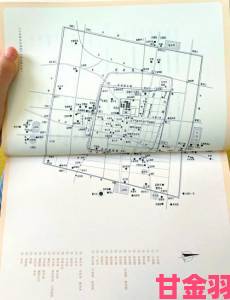 大众|墨魂梦回汴京全攻略：路过触发、普通道具与问号要点汇总