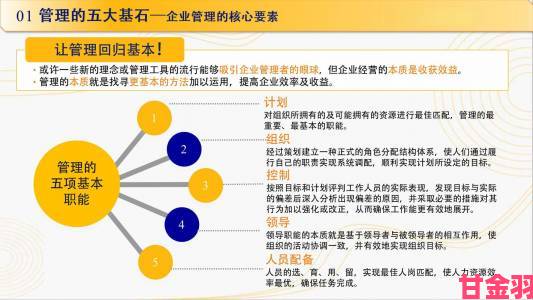 PO管理模式深度观察行业变革中不可忽视的三大核心价值