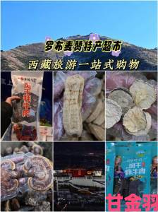 那些被活体肉莲图片照片博物馆大全收藏的作品到底有何特殊价值