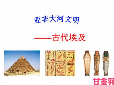 np古代p研究报告出炉：专家深度解析古代文明真相