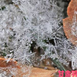 dnf圣诞雪花精灵位置介绍