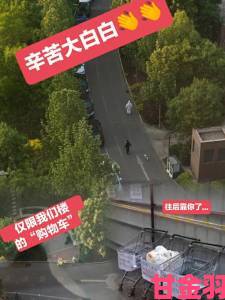 大学寝室304防疫隔离日记意外走红见证特殊时期温情