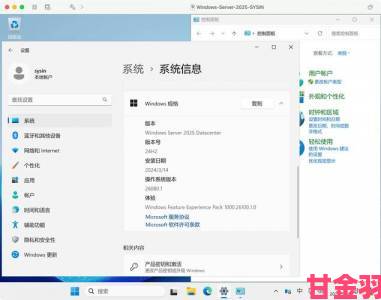 日本windowsserver在实际部署中会遇到哪些潜在问题