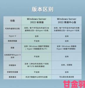 日本windowsserver在实际部署中会遇到哪些潜在问题