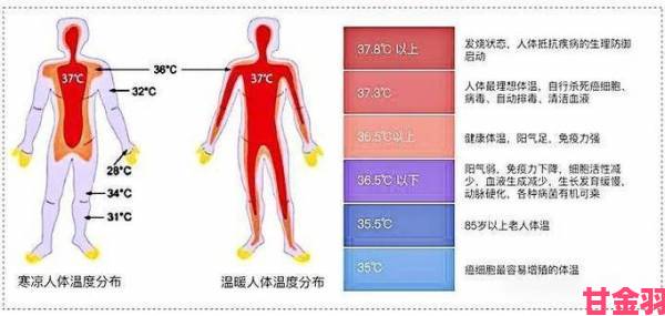 前瞻|华夏人如何提升体温：温度机制全解析