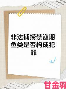 渔女实战举报攻略实战技巧教你如何有效揭发非法捕捞行为