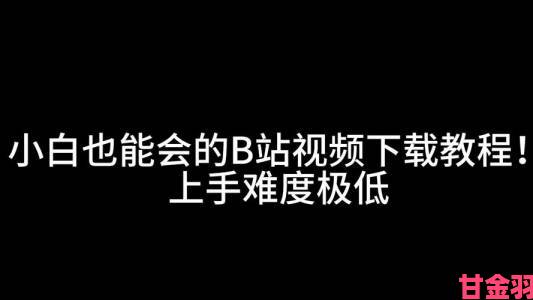 透视|B站怎么下载视频资深用户分享隐藏功能小白也能快速上手