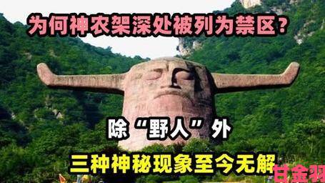 ppypp火爆全网背后真相：年轻人为何集体沉迷这一神秘现象？