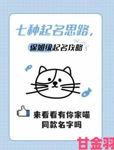 猫咪社区的永久地域网名是什么？全网首份命名底层逻辑与案例解析