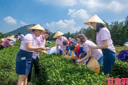 在野外用小雨伞拔萝卜好吗？老农亲测后给出意想不到的结论