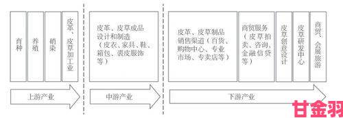 深度|专业人士揭露b大与小哪个好背后的灰色产业链